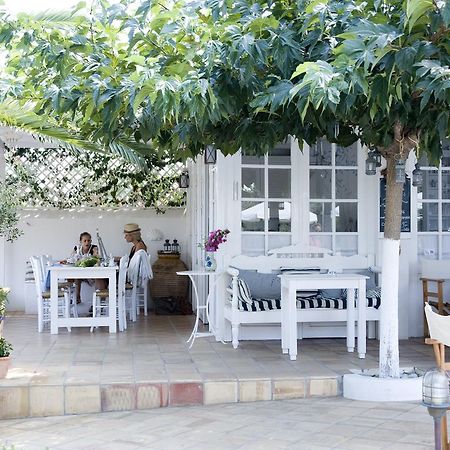 Villa Ippocampi - Adults Only ヘルソニソス エクステリア 写真