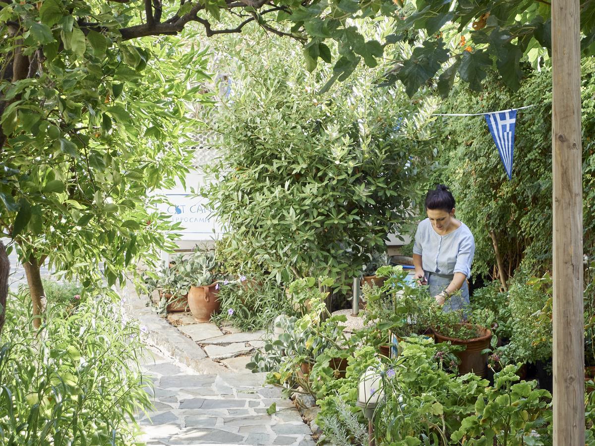 Villa Ippocampi - Adults Only ヘルソニソス エクステリア 写真